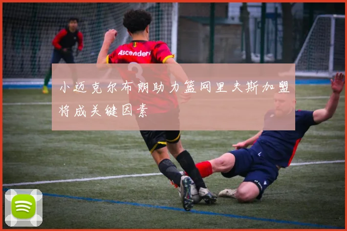 小迈克尔布朗助力篮网里夫斯加盟将成关键因素