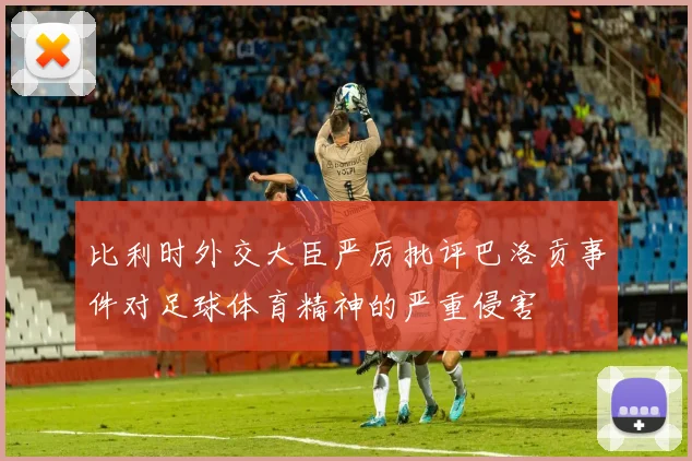 比利时外交大臣严厉批评巴洛贡事件对足球体育精神的严重侵害